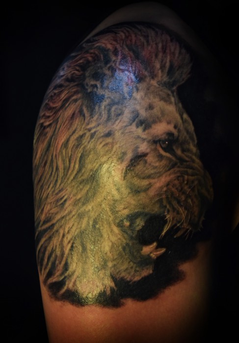 ライオンタトゥー　LION　TATTOO